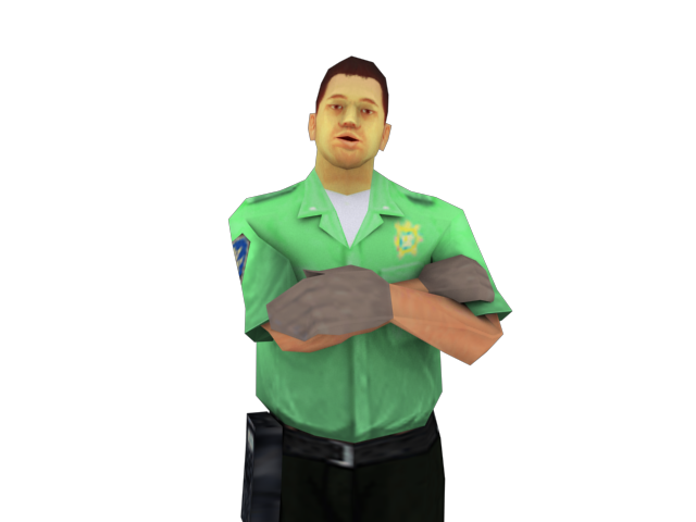 sfemt_1.png